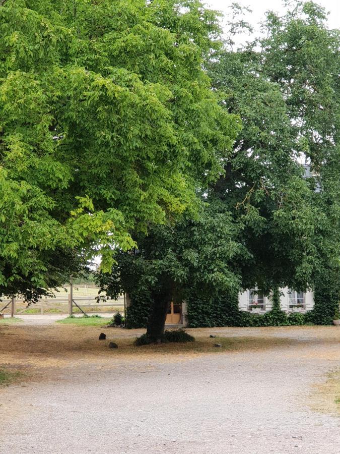 La Tilia Bed and Breakfast Saint-Riquier Εξωτερικό φωτογραφία